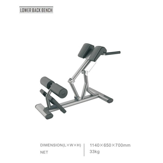 Rückentrainer Hyperextensions Active Gym Premium